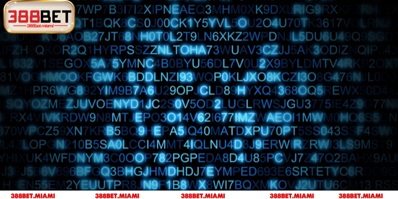 Mã hóa dữ liệu SSL 256-bit chống rò rỉ 